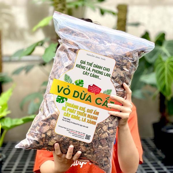 Cách Xử Lý Giá Thể Vỏ Thông Trồng Lan Chuẩn Kỹ Thuật Và Hiệu Quả