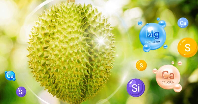 Tầm Quan Trọng Của Amino Acid Đối Với Cây Trồng: Nâng Cao Năng Suất & Sức Khỏe