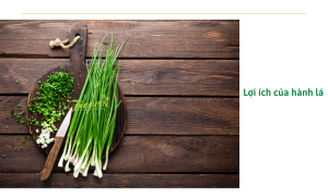 Bật mí 10 cách trồng hành lá tại nhà siêu đơn giản