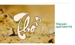 Mệnh thổ hợp cây gì? Bật mí 10 cây trồng cho người mệnh Thổ