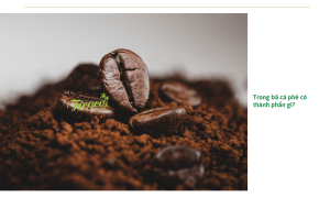 Bật mí cách ủ bã cà phê trồng rau sạch đơn giản, dễ làm