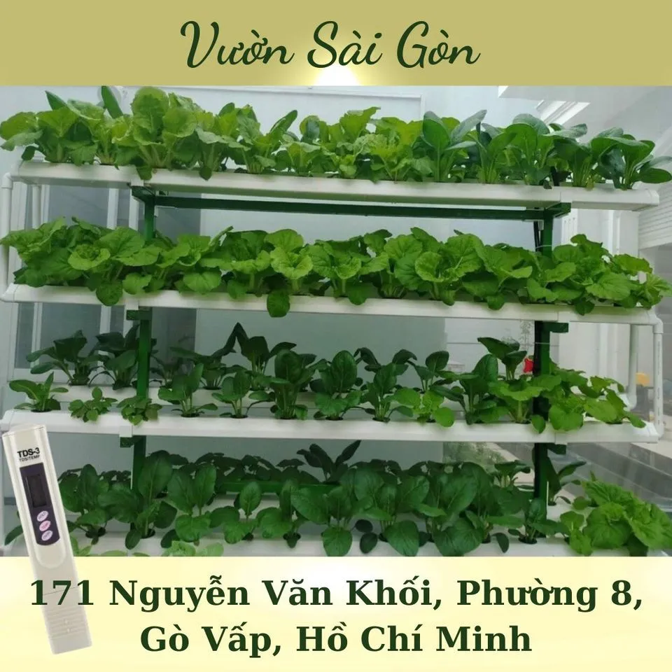 Kiểm tra nồng độ dinh dưỡng cho giàn rau thủy canh tại nhà