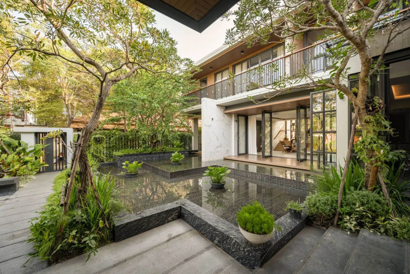 Cây hồng môn hợp mệnh Hỏa