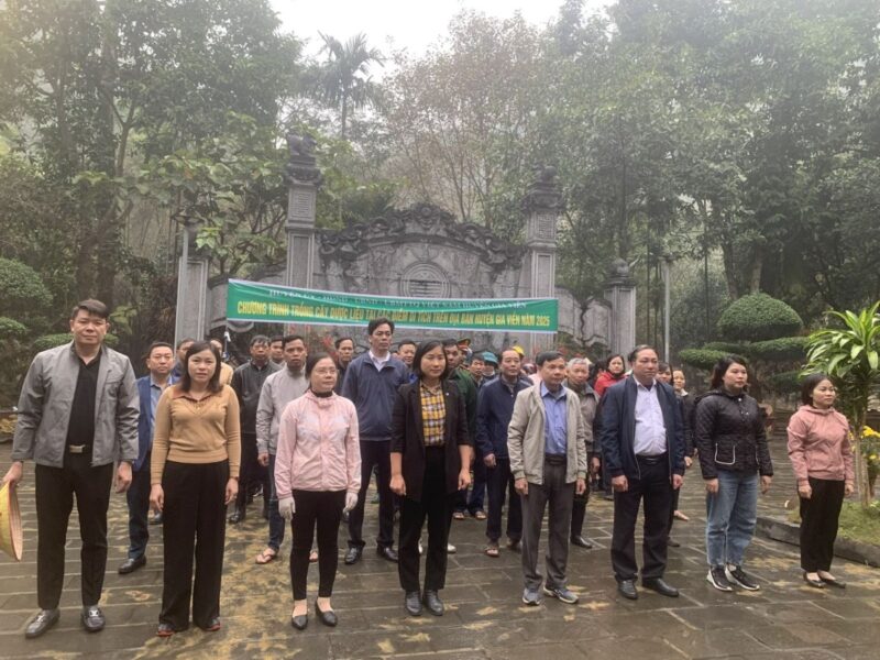 Cây Hoàng Tinh Hoa Đỏ: Hướng Dẫn Chi Tiết Từ Trồng Đến Dược Liệu Quý