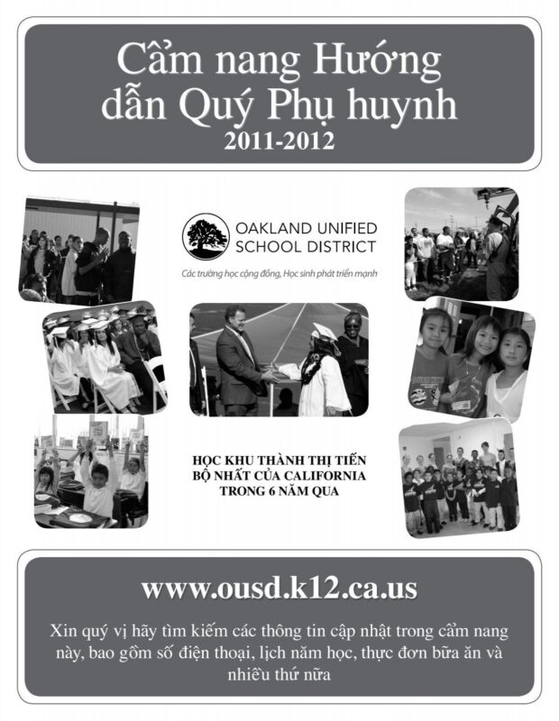 Các Cây Cảnh Trồng Trong Nhà Luôn Tươi Tốt Và Bền Đẹp