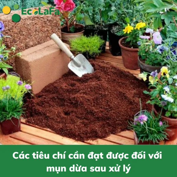 Mụn dừa rất được phổ biến để dùng làm giá thể trồng cây