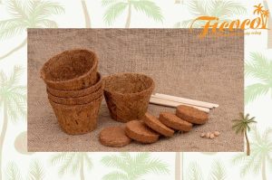 5 CÔNG DỤNG TUYỆT VỜI CỦA CHẬU XƠ DỪA ECO POT MÀ BẠN CHƯA BIẾT