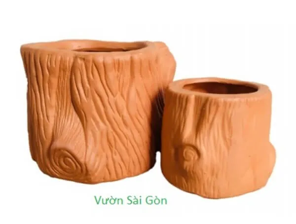 Chậu đất nung thường được chọn để trồng cây sân vườn