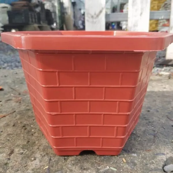 Chậu nhựa thường được sử dụng để trồng các cây ngắn ngày