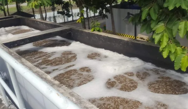 Đệm vi sinh MBBR di chuyển linh hoạt giúp tăng cường khả năng phân hủy các chất hữu cơ độc hại