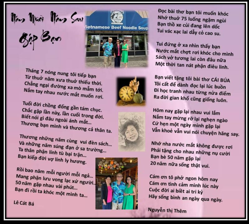 Bài Văn Tả Cây Hoa Hồng Nhung – Nàng Công Chúa Kiêu Sa Trong Vườn Nhà