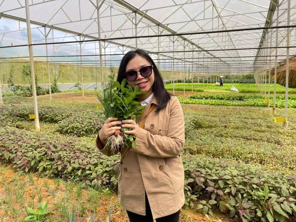 Vườn rau siêu sạch tại Hana Garden - mô hình cửa hàng rau sạch Đà Lạt kiểu mới