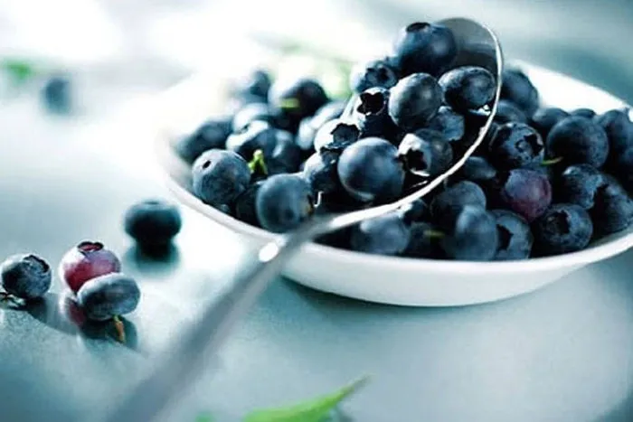 Bé ăn dặm trái cây với việt quất giàu chất chống oxy hóa