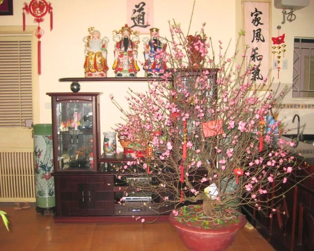 Hoa đào mang ý nghĩa tốt đẹp, xua đuổi tà ma, mang lại sự hòa thuận và gắn kết