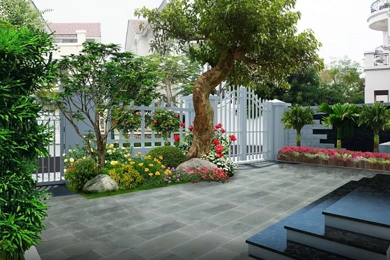 Theo phong thủy, người tuổi Tân Mùi sẽ không hợp với những cây thuộc hành Mộc