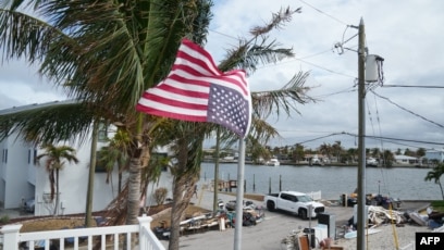 5 Loại Cây Nên Trồng Trước Nhà Theo Quan Niệm Phong Thủy Và Thực Tế