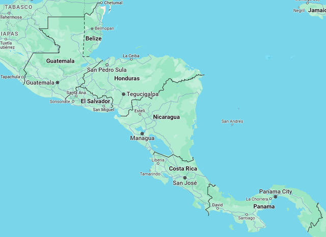 7 Loại Cây Nên Trồng Trước Nhà Để Thu Hút Vượng Khí, May Mắn Và Tài Lộc