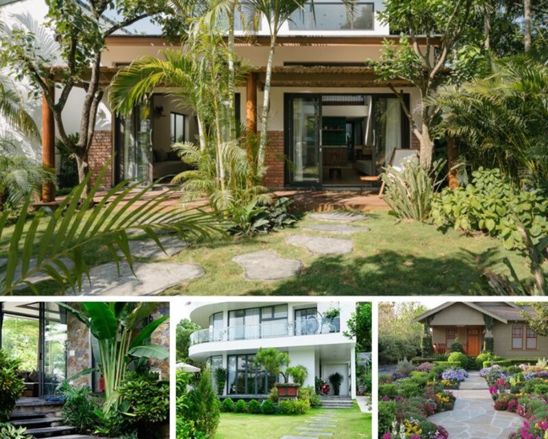 7 Loại Cây Nên Trồng Trước Nhà Để Thu Hút Vượng Khí, May Mắn Và Tài Lộc