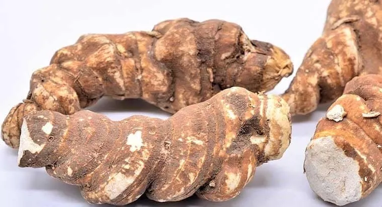 Thân rễ Thất diệp nhất chi hoa khô