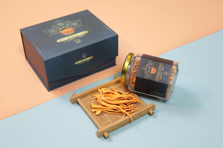 Giá Thể Đông Trùng Hạ Thảo Và Tác Động Đến Chất Lượng Dược Liệu