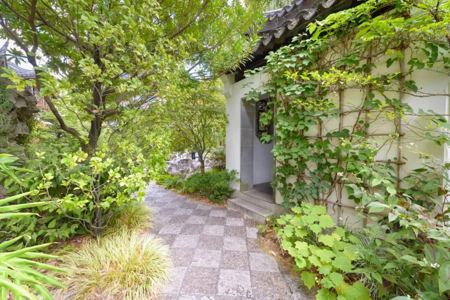 Khái niệm trồng cây đối diện cửa chính