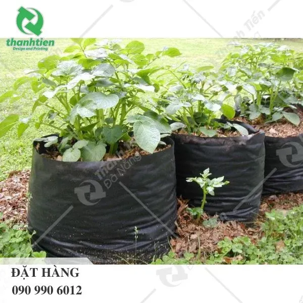 Tổng hợp các kích cỡ túi bầu ươm từ nhỏ đến lớn