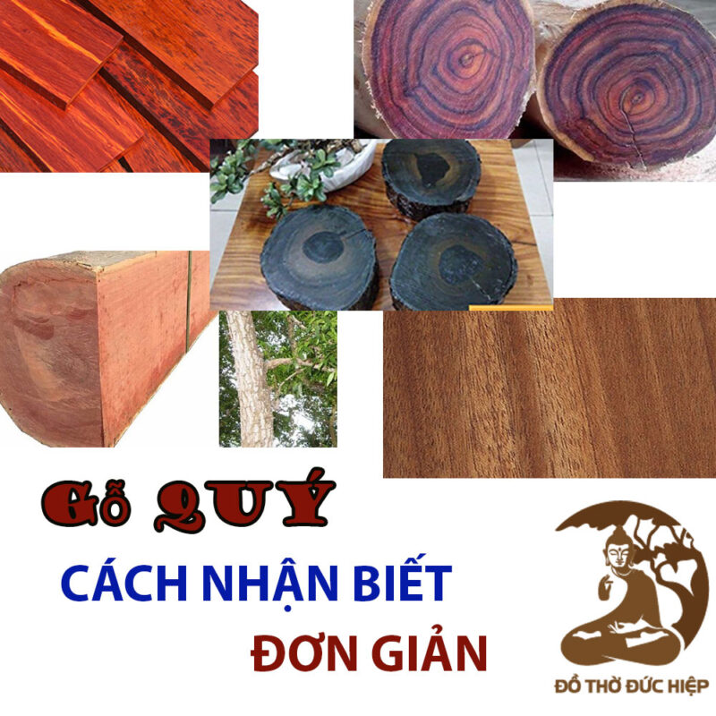 Cách Nhận Biết Cây Sưa Đỏ: Phân Biệt Chính Xác Từ Lá Đến Gỗ