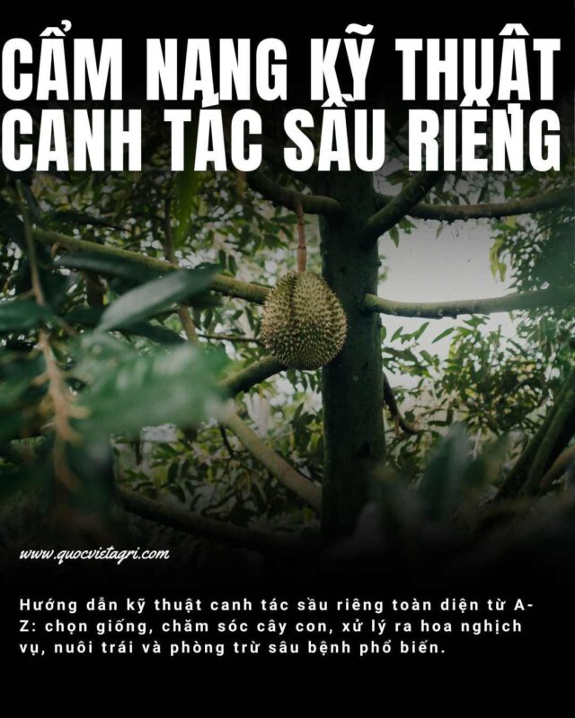 Kỹ Thuật Trồng Cây Thuốc Lá Toàn Diện Cho Năng Suất Cao