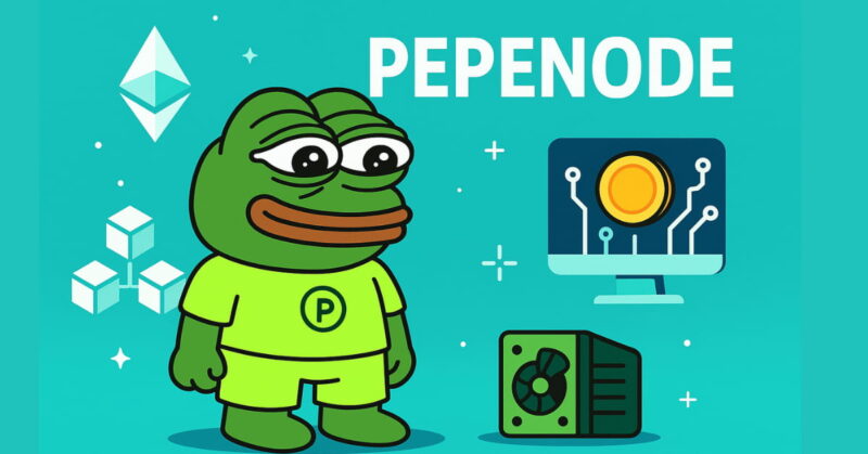 Cách Trồng Cây Thì Là: Hướng Dẫn Chi Tiết Từ A-Z Cho Người Mới Bắt Đầu