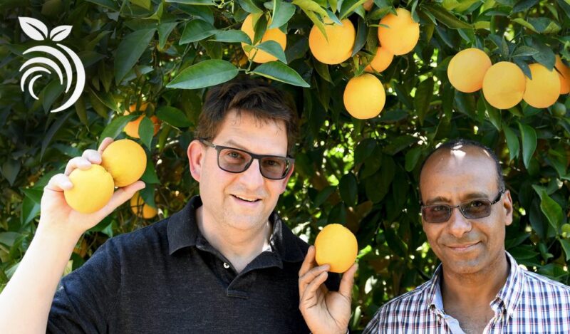 Phân Biệt Đất Vườn và Đất Trồng Cây Lâu Năm Khác Đất Ở Như Thế Nào Và Cách Chuyển Đổi