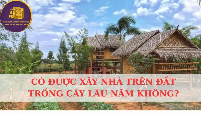 Xây Nhà Cấp 4 Trên Đất Trồng Cây Lâu Năm: Quy Định Pháp Lý & Thủ Tục Chi Tiết