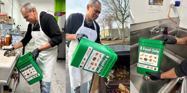 Hướng Dẫn Chi Tiết Cách Tái Chế Chai Nhựa Thành Chậu Trồng Rau Tại Nhà