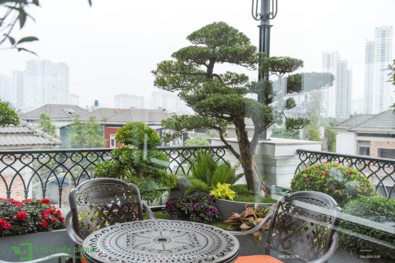 Cách Trang Trí Chậu Cây Để Bàn Bằng Sỏi: Nâng Tầm Không Gian Sống