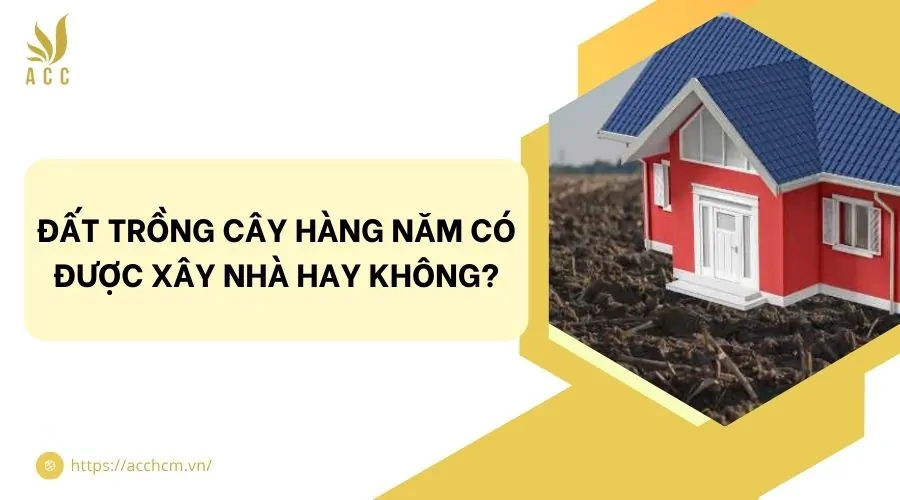 Đất Trồng Cây Hàng Năm Có Được Xây Nhà Không? Quy Định Mới Nhất 2024