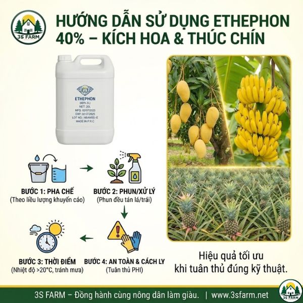 Ethephon Làm Chín Trái Cây: Hướng Dẫn Chi Tiết & An Toàn Cho Nhà Vườn