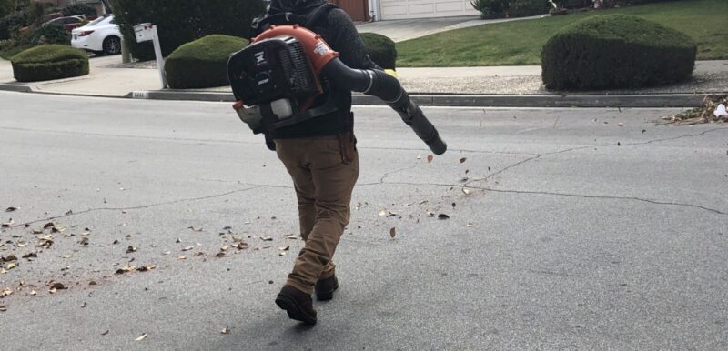 Lời Bài Hát Trồng Cây: Ý Nghĩa Sâu Sắc Và Tinh Thần Vượt Thời Gian