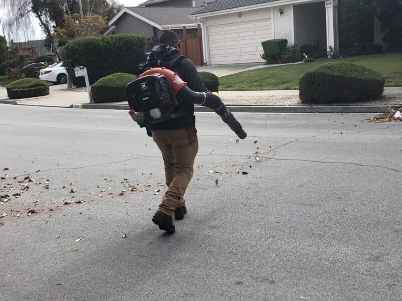 Lời Bài Hát Trồng Cây: Ý Nghĩa Sâu Sắc Và Tinh Thần Vượt Thời Gian