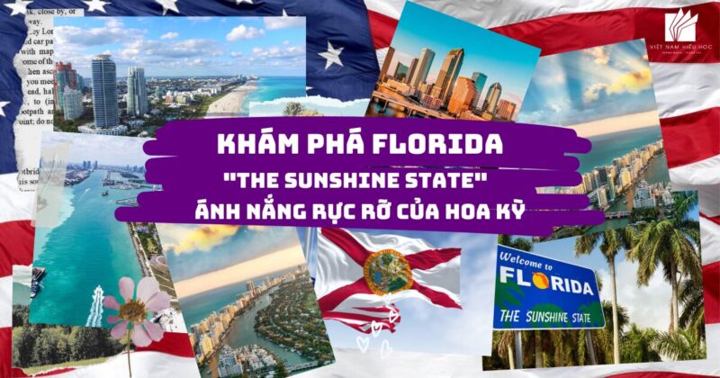 Khám Phá Chi Tiết Sự Tích Hoa Ban Trắng Tây Bắc Và Ý Nghĩa Văn Hóa Sâu Sắc