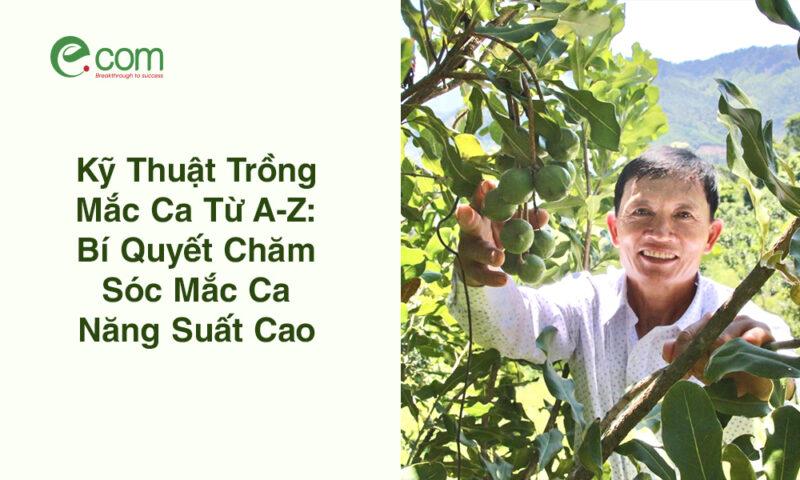 Kỹ Thuật Trồng Chanh Dây Toàn Diện: Từ A đến Z Cho Năng Suất Vượt Trội