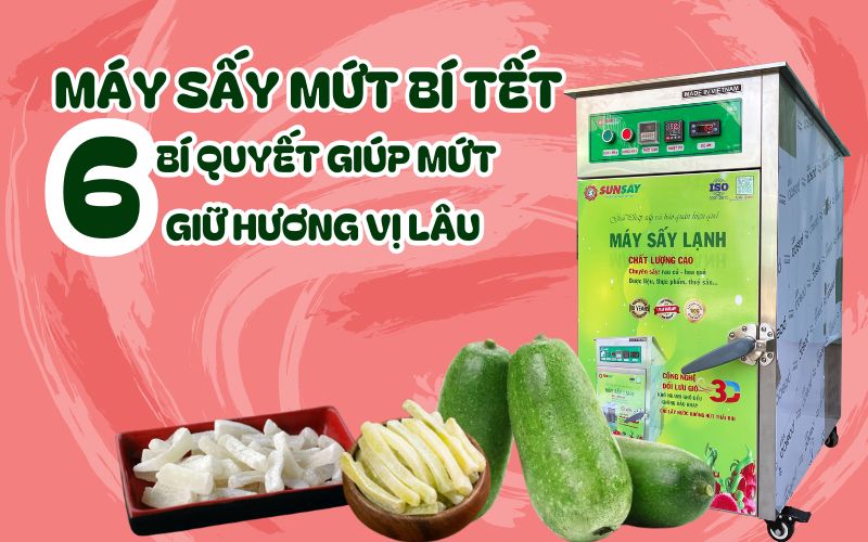 Máy Sấy Dẻo Trái Cây: Bí Quyết Giữ Trọn Hương Vị Tươi Ngon Cùng Máy Sấy Đối Lưu 12 Khay