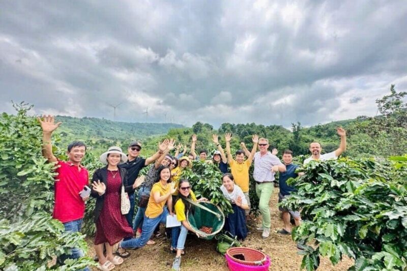 Hướng Dẫn Chi Tiết: Cách Trồng Cây Me Rừng Mang Lại Vị Chua Thanh & Giá Trị Kinh Tế