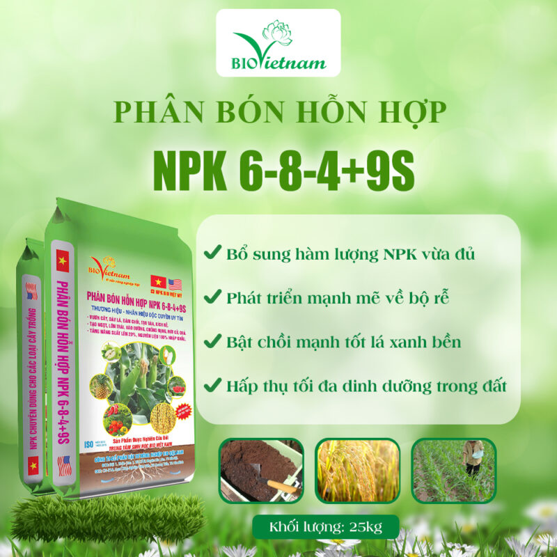 Cây Nhàu Trồng Bao Lâu Có Trái: Hướng Dẫn Chi Tiết Từ A-Z