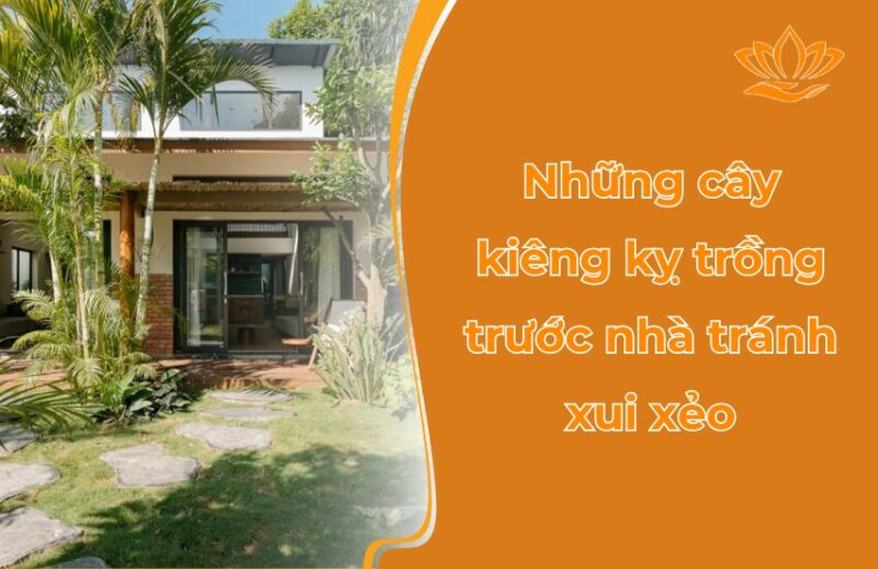 Những Loại Cây Không Nên Trồng Trước Nhà Để Tránh Vận Xui