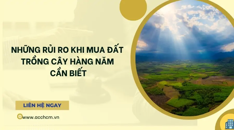 Rủi Ro Khi Mua Đất Trồng Cây Hàng Năm: Những Điều Cần Biết Để Tránh Mất Trắng