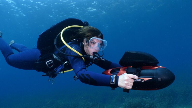 Hướng Dẫn Chi Tiết Kỹ Thuật Trồng Chanh Dây Hiện Đại – Cho Năng Suất Vượt Trội