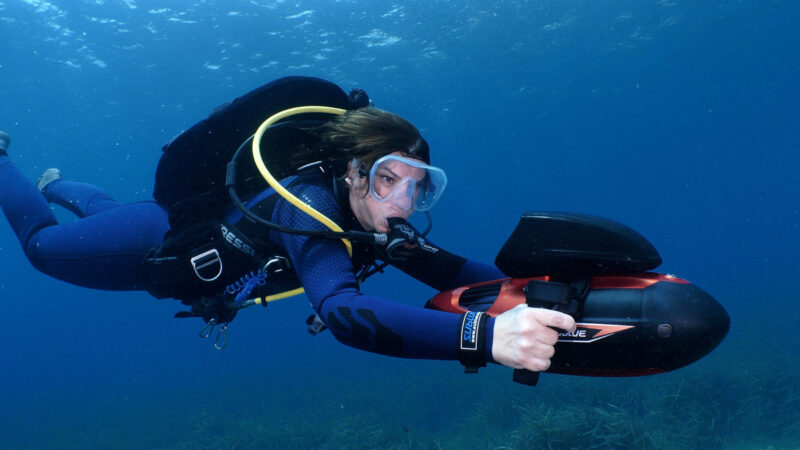 Kỹ Thuật Trồng Chanh Dây Toàn Diện: Từ A đến Z Cho Năng Suất Vượt Trội