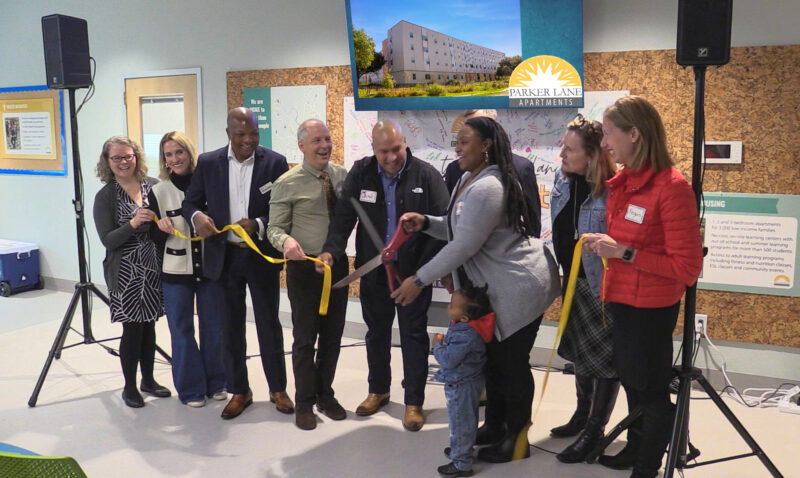 Các Loại Cây Trồng Trong Nhà: Lợi Ích Tuyệt Vời & Hướng Dẫn Chăm Sóc Toàn Diện