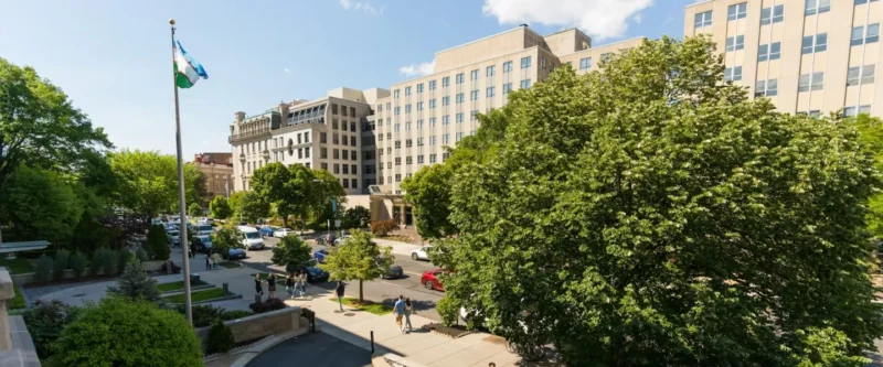 Khám Phá Thế Giới cây tiểu cảnh trong nhà: Biến Không Gian Sống Thêm Xanh Mát và Đầy Phong Cách