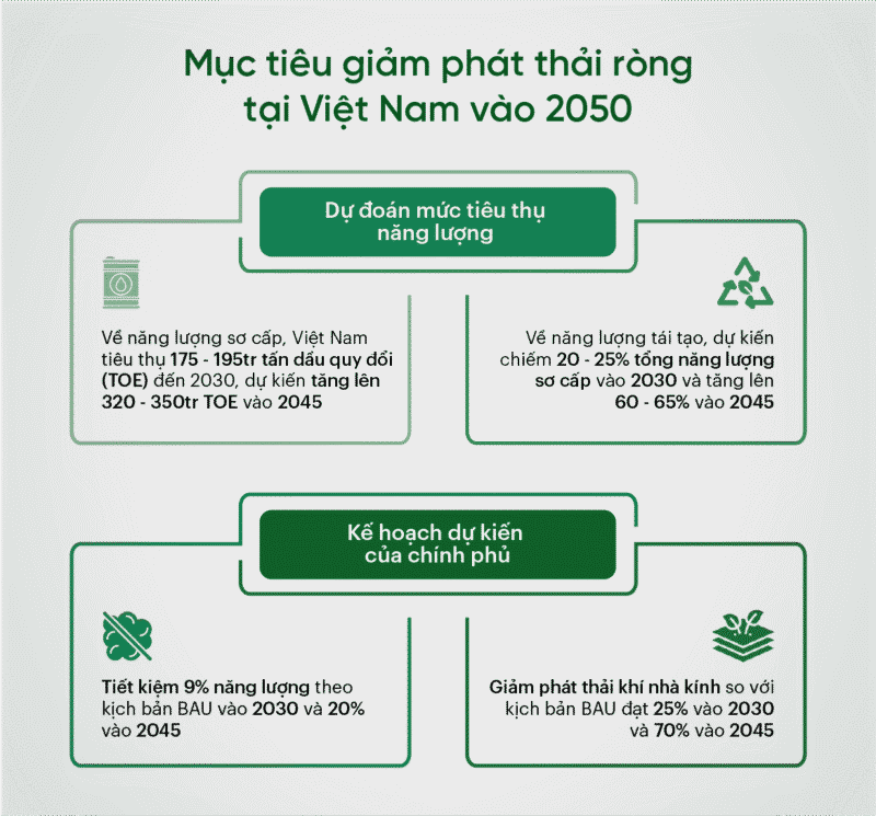 Quy Trình Trồng Rừng Bằng Cây Con Có Bầu: Hướng Dẫn Chi Tiết Từ A-Z