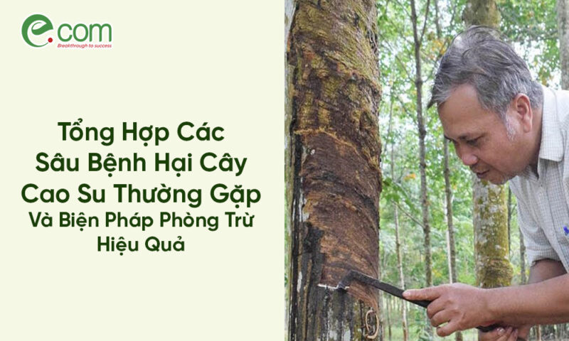 Tổng Hợp Các Loại Sâu Hại Cây Trồng Phổ Biến và Biện Pháp Phòng Chống Hiệu Quả